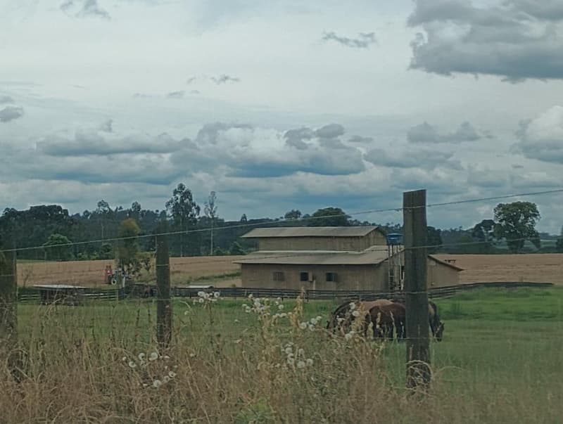 Foto 6 de 11: Area Rural em leilão em Bela Vista Do Toldo - SC, bairro Interior — IMÓVEL RURAL COM ÁREA TOTAL DE 235.247,93 M2 EM BELA VISTA DO TOLDO-SC