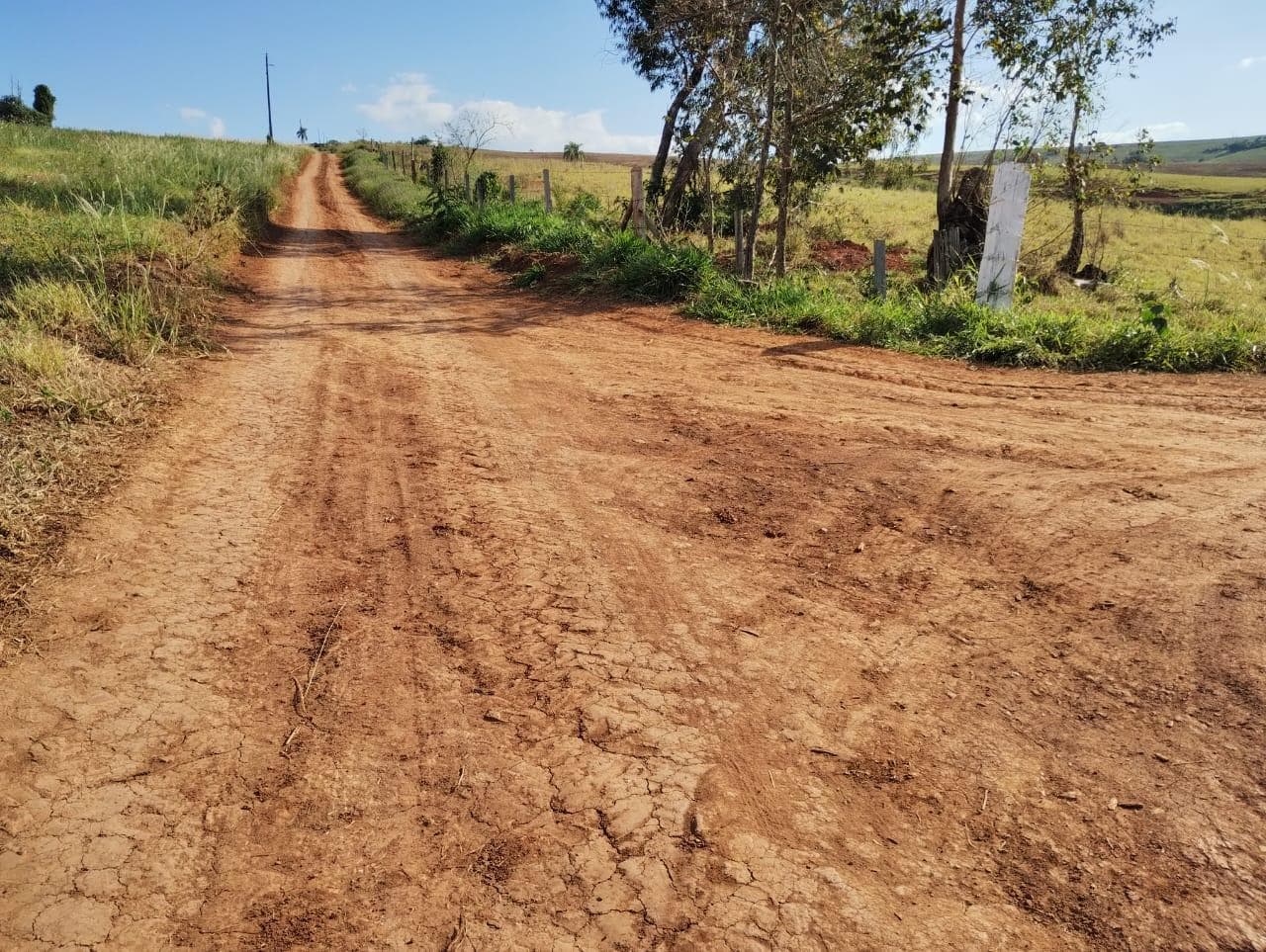 Foto 13 de 24: Area Rural em leilão em São Jerônimo Da Serra - PR — Área rural com área de 35,53 hectares - São Jerônimo da Serra/PR.