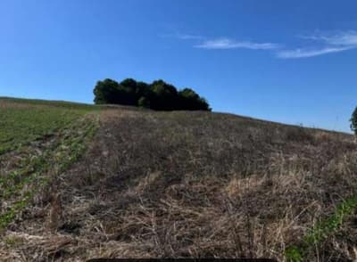 Foto 5 de 6: Area Rural em leilão em São José Das Missões - RS — IMÓVEL RURAL COM ÁREA DE 33.116,81M2 EM SÃO JOSÉ DAS MISSÕES -RS
