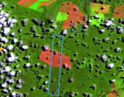 Foto 2 de 3: Terreno em leilão em Nova Maringá - MT — Terreno Rural 1.550 ha, Nova Maringá/MT - Ocupado