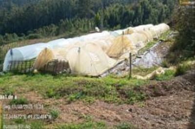 Foto 5 de 15: Terreno em leilão em Vidal Ramos - SC, bairro Área Rural — IMÓVEL RURARL COM ÁREA TOTAL DE 13.000 ha,- Em VIDAL RAMOS/SC