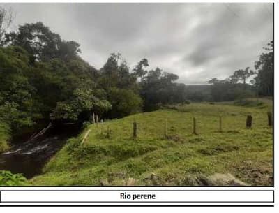 Foto 11 de 13: Area Rural em leilão em Campina Grande Do Sul - PR — Terras rurais, com área de 845,9 hectares, localizada no Município de Campjna Grande do Sul/PR.