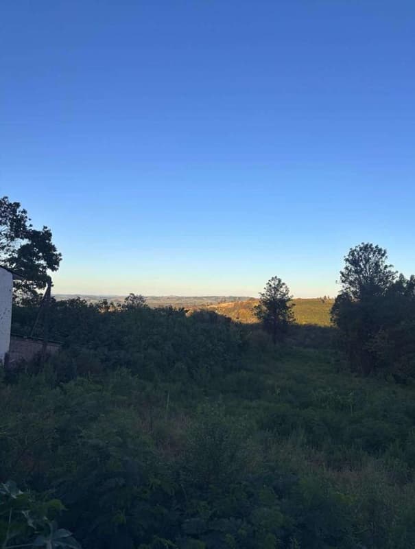 Foto 4 de 6: Area Rural em leilão em Ibaiti - PR — Chácara Três Irmãos com a área de 1,031 alqueires ou 24.955,00m², Ibaiti/PR