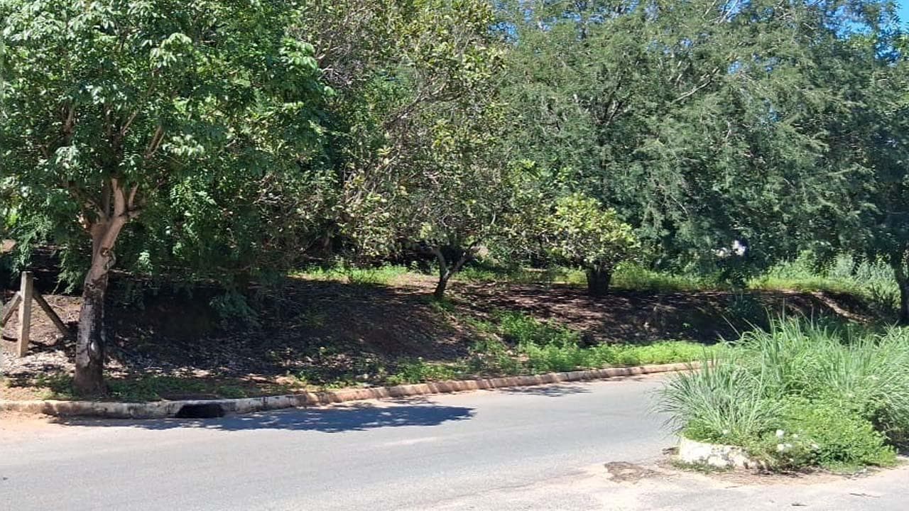 Foto 4 de 6: Terreno em leilão em Minaçu - GO, bairro Vila Residencial de Minaçu — Terreno Urbano 395m² | Vila Residencial de Minaçu - Minaçu/GO |Localização Nobre e Infraestrutura Completa: Ideal para Construção e Investimento!