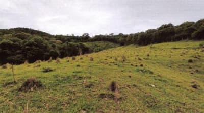Foto 12 de 15: Area Rural em leilão em Alfredo Wagner - SC, bairro Interior — IMÓVEL RURAL COM ÁREA SUPERFICIAL DE 36.264,00m², EM ALFREDO WAGNER/SC