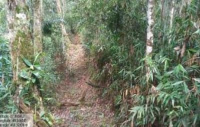 Foto 1 de 7: Terreno em leilão em Apiúna - SC — TERRENO RURAL COM ÁREA DE 16,135 HA, EM APÍUNA-SC