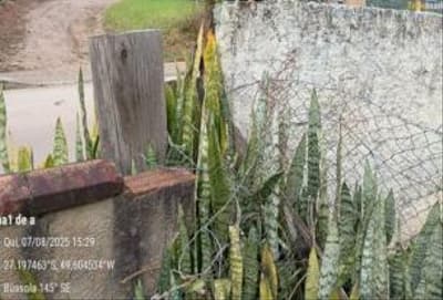 Foto 7 de 13: Terreno em leilão em Rio Do Sul - SC, bairro Brehmer — IMÓVEL URBANO COM ÁREA TOTAL DE 1.234,250 m2- Em RIO DO SUL/PR