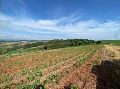 Foto 3 de 10: Area Rural em leilão em Nova Prata Do Iguaçu - PR — IMÓVEL RURAL COM ÁREA TOTAL DE 20.000,00 M2 EM NOVA PRATA DO IGUAÇU-PR