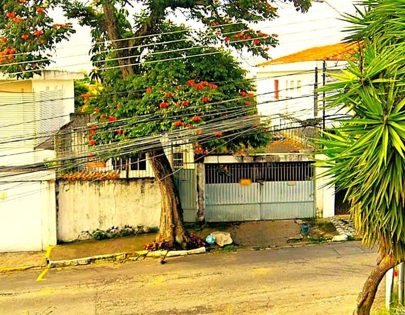 Foto 1 de 3: Comercial em leilão em São Paulo - SP, bairro Jardim Aeroporto — Prédio Residencial 359m² | Parque Jabaquara/SP | Terreno de 275m²: Oportunidade Próxima ao Aeroporto de Congonhas e Av. Washington Luís!