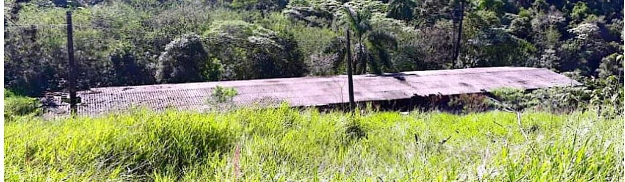 Foto 4 de 4: Terreno em leilão em São Lourenço Da Serra - SP — Terreno Rural na Estrada de Rodagem BR-116 em São Lourenço da Serra/SP