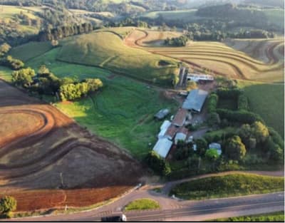 Foto 5 de 12: Area Rural em leilão em Campo Bonito - PR — Excelente Propriedade Rural com Estrutura Completa 19,73 ha| Campo Bonito/PR