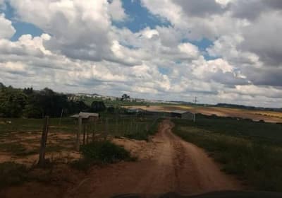 Foto 13 de 15: Area Rural em leilão em Pitanga - PR — VENDA CONJUNTA DE DUAS MATRÍCULAS- Em PITANGA/PR