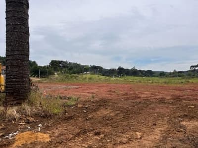 Foto 6 de 6: Area Rural em leilão em Curitibanos - SC, bairro Leoberto Leal — Área de Terras, área superficial de 8.000m², Bairro Leoberto Leal, Curitibanos/SC