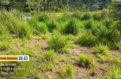 Foto 2 de 5: Terreno em leilão em Ibirama - SC, bairro Dalbérgia — IMÓVEL URBANO COM ÁREA TOTAL DE 360.450 m2- Em IBIRAMA/SC