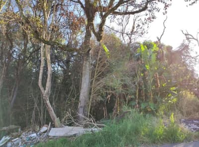 Foto 3 de 4: Terreno em leilão em Piraquara - PR, bairro Vila Susi — Imóvel urbano (lote de terreno de esquina, com 1.072,50m², sem benfeitorias), na Vila Susi, em Piraquara/PR
