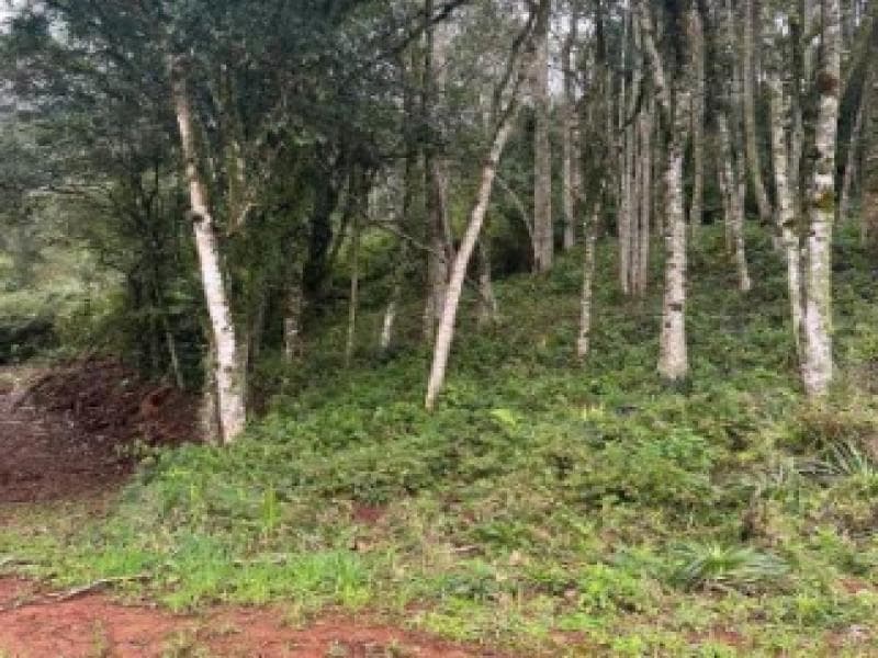 Foto 2 de 12: Terreno em leilão em Gramado - RS, bairro Várzea Grande — Lote, 4082.96 m2, Gramado / RS