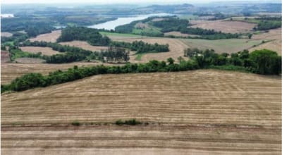 Foto 10 de 10: Area Rural em leilão em Nova Prata Do Iguaçu - PR — IMÓVEL RURAL COM ÁREA DE 121.000 m2- Em NOVA PRATA DO IGUAÇU