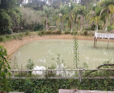Foto 26 de 26: Area Rural em leilão em São João Do Triunfo - PR — IMÓVEL RURAL COM EXTENSÃO URBANA - ÁREA TOTAL DE 60.726,43 m²-AVENIDA DAS ARAUCÁRIAS-LADEIRA- SÃO JOÃO DO TRIUNFO-PR