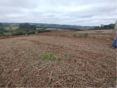 Foto 5 de 7: Terreno em leilão em Frei Rogério - SC — IMÓVEL RURAL COM ÁREA TOTAL DE 5,3285450 HA - FREI ROGERIO/SC