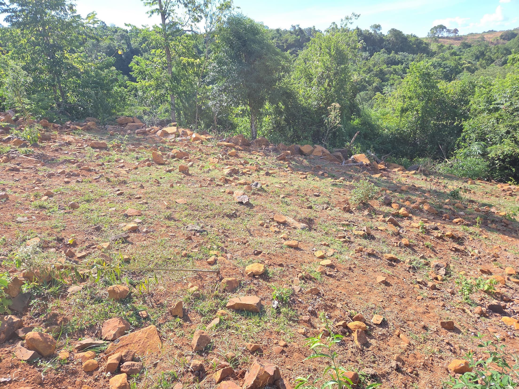Terreno em leilão em Nova Prata Do Iguaçu - PR, bairro Distrito Turístico — LOTE URBANO Nº 04, QUADRA Nº 05 DO LOTEAMENTO JARDIM EUROPA DO MUNICÍPIO DE NOVA PRATA DO IGUAÇU/PR ÁREA DE 394,38M²