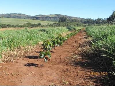 Foto 24 de 41: Area Rural em leilão em Cássia Dos Coqueiros - SP — IMOVEL - RURAL - SITIO com 16 hectares - ESTRUTURA COMPLETA - Perto do Asfalto na cidade de CÁSSIA DOS COQUEIROS