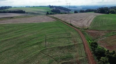 Foto 7 de 9: Area Rural em leilão em Nova Prata Do Iguaçu - PR — IMÓVEL RURAL COM ÁREA TOTAL DE 20.000,00 m² - NOVA PRATA DO IGUAÇU/PR