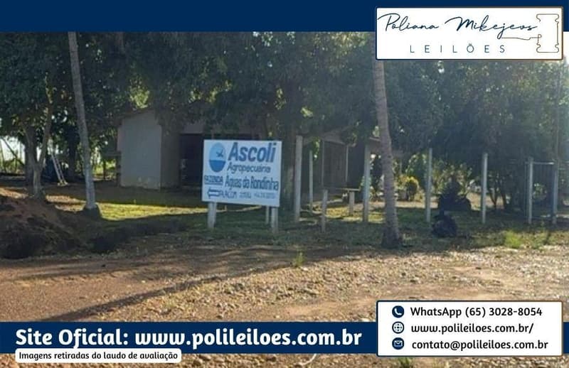 Foto 6 de 14: Area Rural em leilão em Sorriso - MT — Área Rural, Fração Ideal 181,5ha, AT. 363ha, denominada Dal Bosco, Fazenda Rondinha I, Lote Primavera, em Sorriso/MT