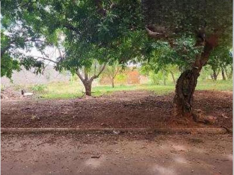 Foto 4 de 5: Terreno em leilão em Araçatuba - SP — Lote, Desocupado, Araçatuba / SP