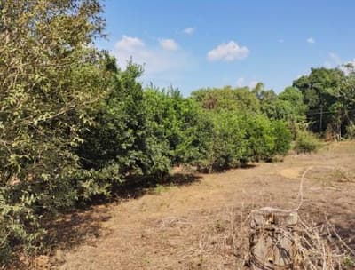 Foto 3 de 13: Area Rural em leilão em Porto Dos Gaúchos - MT — Imóvel Rural com área de 53 hectares - Porto dos Gaúchos/MT