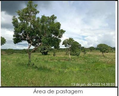 Foto 8 de 10: Area Rural em leilão em Formoso Do Araguaia - TO — IMÓVEL RURAL, 57,34HA - PROJETO RIO FORMOSO, 3ª ETAPA EM FORMOSO DO ARAGUAIA/TO - COM CASA SEDE