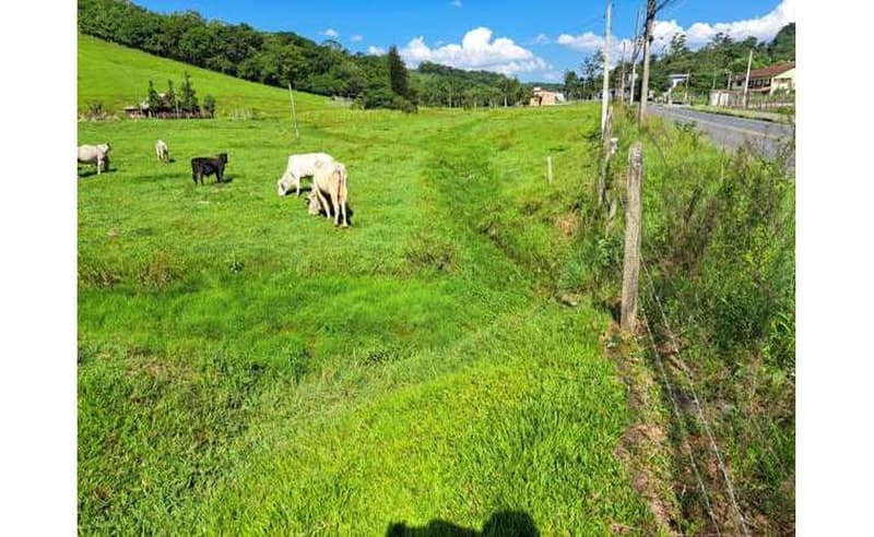 Foto 62 de 64: Terreno em leilão em Blumenau - SC — Um imóvel com área total de 102.114,74m² em Blumenau/SC