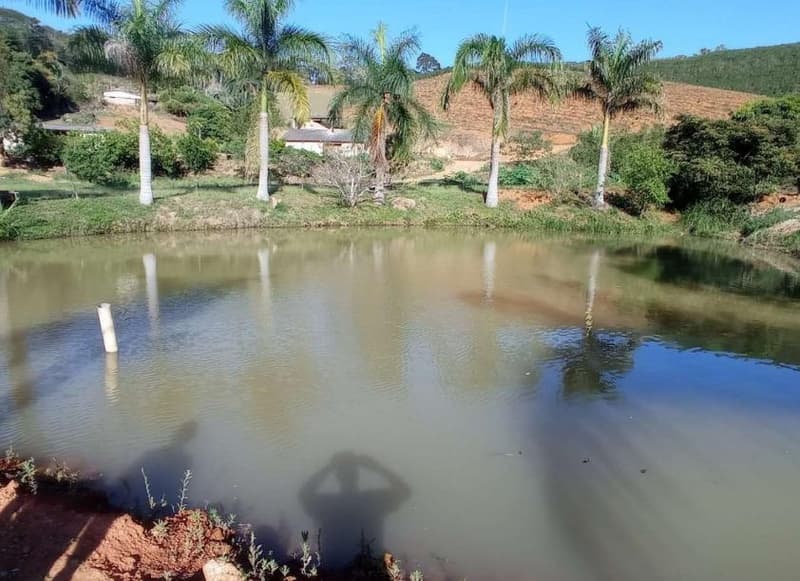 Foto 18 de 49: Area Rural em leilão em Caiana - MG — IMÓVEL RURAL COM ÁREA TOTAL DE 16,99,68 hectares- Em CAIANA/MG