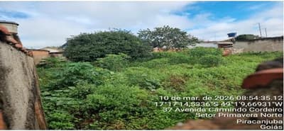 Foto 2 de 4: Terreno em leilão em Piracanjuba - GO, bairro Setor Primavera — TERRENO URBANO | A.T. 245 M² | PIRACANJUBA/GO