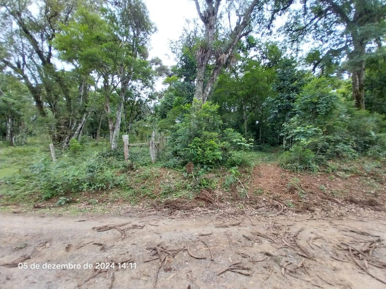 Foto 16 de 17: Terreno em leilão em Lapa - PR — Terreno rural, com área de 36.300,00m², Lapa/PR