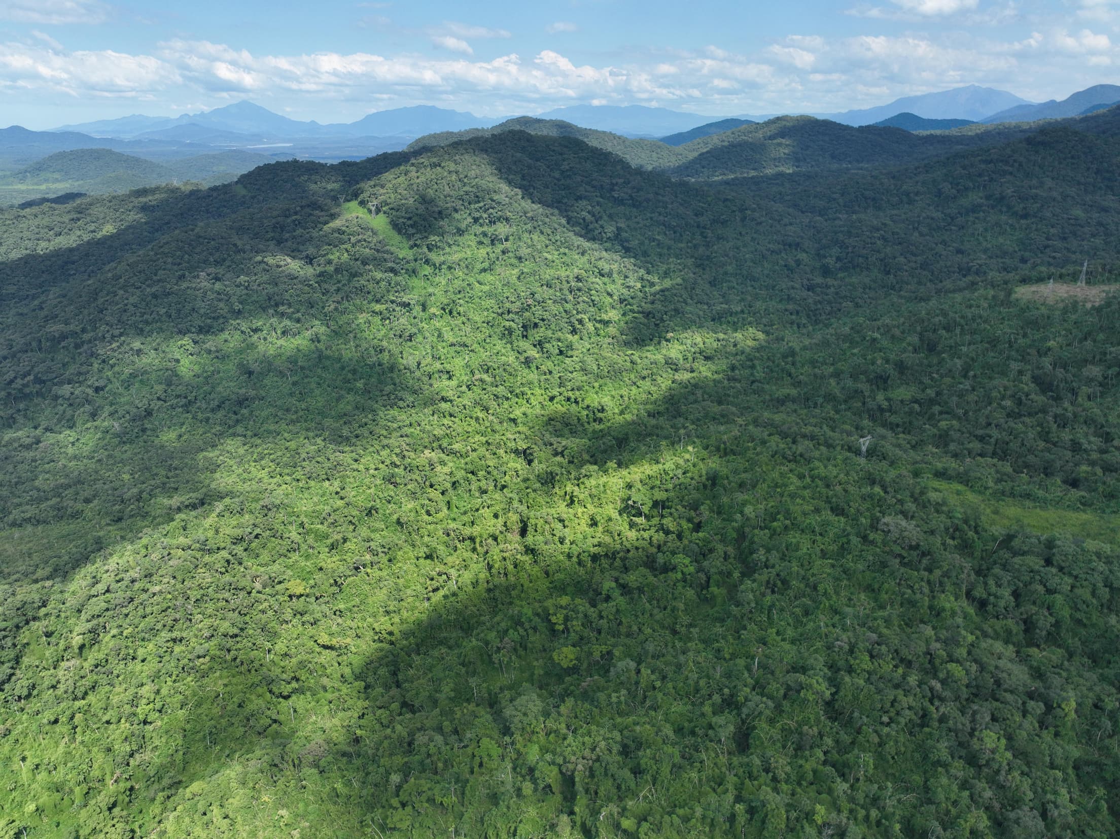 Foto 9 de 13: Terreno em leilão em Antonina - PR — Terreno Rural 308,4632ha Desocupado em Antonina/PR