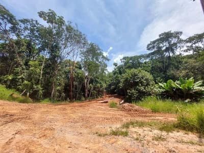 Foto 12 de 12: Area Rural em leilão em Igaratá - SP, bairro Santo Agostinho — FAZENDA EM IGARATA-SP