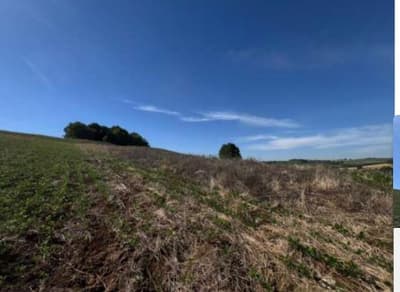 Foto 6 de 6: Area Rural em leilão em São José Das Missões - RS — IMÓVEL RURAL COM ÁREA DE 33.116,81M2 EM SÃO JOSÉ DAS MISSÕES -RS
