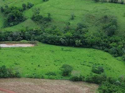 Foto 5 de 8: Area Rural em leilão em Nova Cantu - PR — IMÓVEL RURAL COM ÁREA TOTAL DE 16.96ha- Em NOVA CANTU/PR