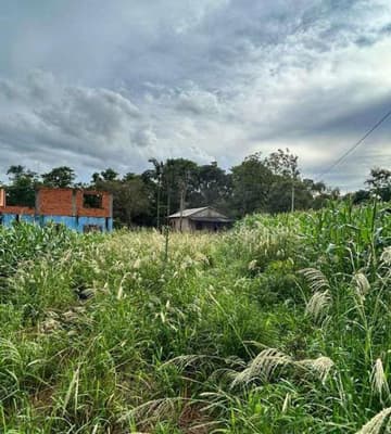 Foto 29 de 40: Area Rural em leilão em Marechal Cândido Rondon - PR — Parte ideal de 55.265,69 m² do Lote Rural 05/A do 19º Perímetro da Fazenda Britânia, situado neste município e comarca de Marechal Candido Rondon/PR