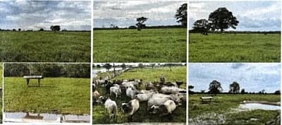 Foto 3 de 4: Area Rural em leilão em Careiro Da Várzea - AM — IMÓVEL RURAL | 81,00 HA - FAZ. CRUZEIRO | CAREIRO DA VÁRZEA