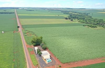 Foto 8 de 8: Area Rural em leilão em Vicentinópolis - GO — Lote Agrícola 317ha em Vicentinópolis/GO | Vizinho à Usina Caçu | Topografia Plana e Beira do Asfalto