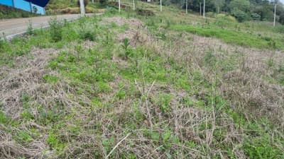 Foto 4 de 5: Terreno em leilão em Saudades - SC — LOTE URBANO Nº 08, DA QUADRA Nº 122, LOCALIZADO EM SAUDADES/SC ÁREA DE 360M²