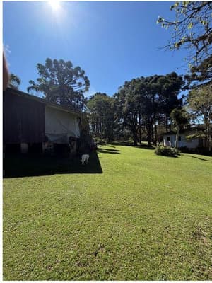 Foto 30 de 35: Area Rural em leilão em São José Dos Pinhais - PR — Sitio com área total de 120.974,16m², localizado Borda do Campo em São José dos Pinhais/PR