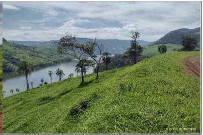 Foto 3 de 8: Area Rural em leilão em Coronel Domingos Soares - PR — Terreno Rural com área de 38,66 hectares, as margens do Rio Iguaçu, Gleba III, do Quinhão IV e Quinhões 6 e 6-A, da Fazenda Cacumbangue, município de Coronel Domingo Soares/PR