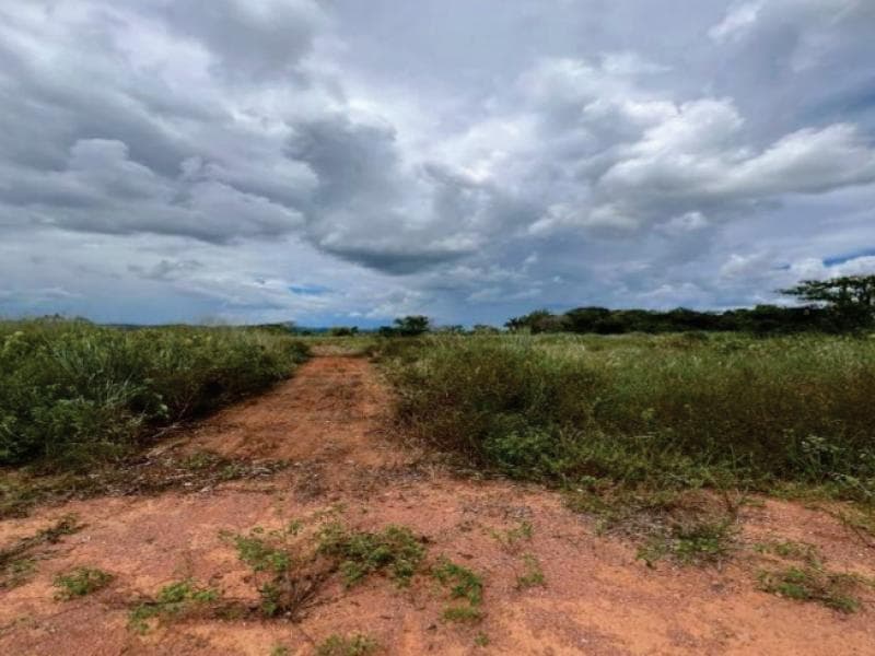 Foto 3 de 3: Terreno em leilão em Cerejeiras - RO, bairro São José de Anchieta — Lote, 450.0 m2, Cerejeiras / RO