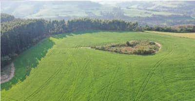 Foto 2 de 5: Area Rural em leilão em Dionísio Cerqueira - SC — IMÓVEL RURAL COM ÁREA DE 30.0443 ha- Em DIONISIO CERQUEIRA/SC