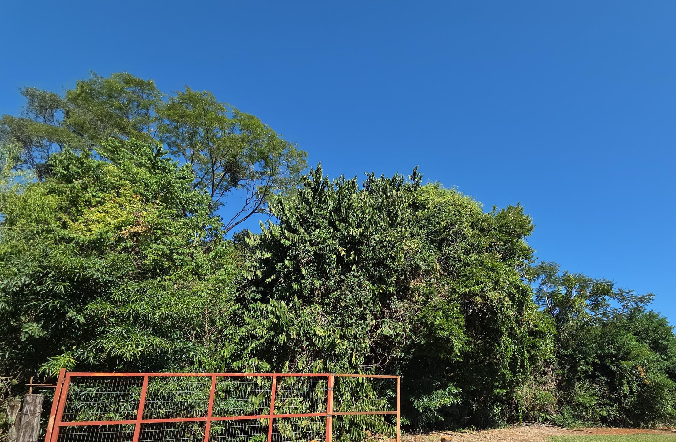 Foto 3 de 4: Terreno em leilão em Nova Prata Do Iguaçu - PR, bairro Colônia Missões — LOTE URBANO Nº 11, QUADRA Nº 01 DO LOTEAMENTO QUATRO PORTEIRAS DO MUNICÍPIO DE NOVA PRATA DO IGUAÇU/PR ÁREA DE 600M²