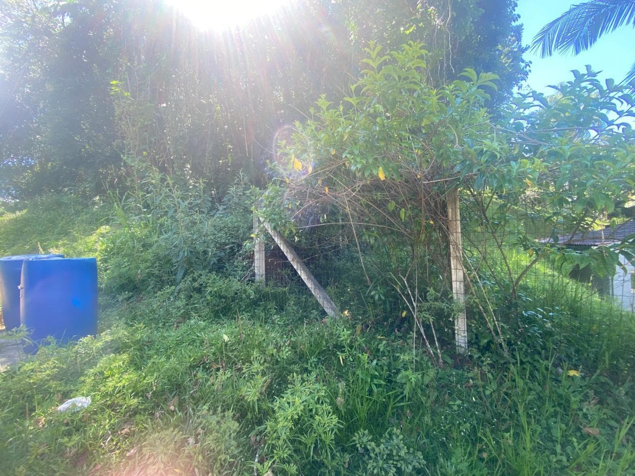 Terreno em leilão em Brusque - SC — Terreno urbano com área de 15.787,53m² , Brusque/SC