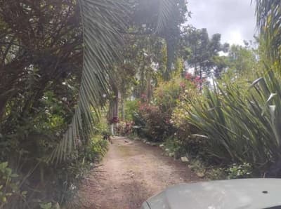 Foto 6 de 26: Area Rural em leilão em São João Do Triunfo - PR — IMÓVEL RURAL COM EXTENSÃO URBANA - ÁREA TOTAL DE 60.726,43 m²-AVENIDA DAS ARAUCÁRIAS-LADEIRA- SÃO JOÃO DO TRIUNFO-PR