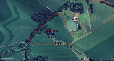 Area Rural em leilão em Marechal Cândido Rondon - PR — Fração ideal de 20.000m² do imóvel rural, localizado em Marechal Cândido Rondon/PR.